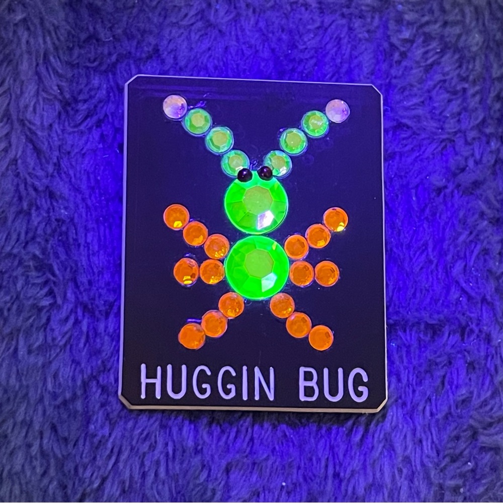 Adorable vintage plastic & rhinestone Huggin Bug pin insect wilderkind